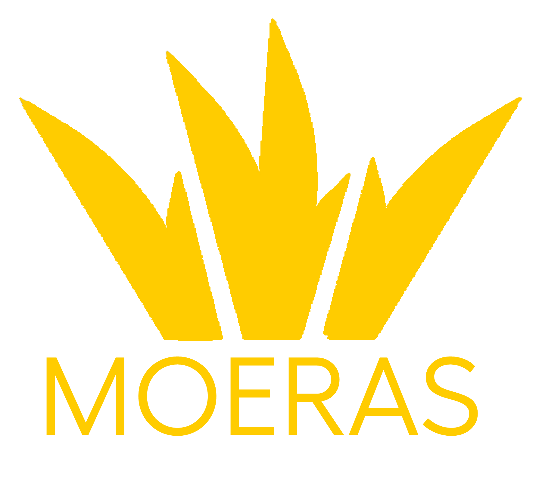 Moeras